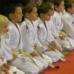 judo