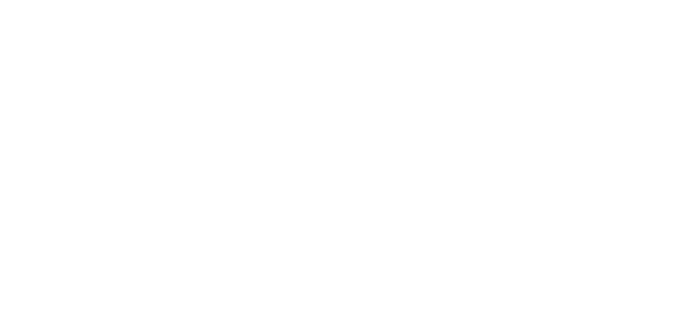Turtles Schriftzug