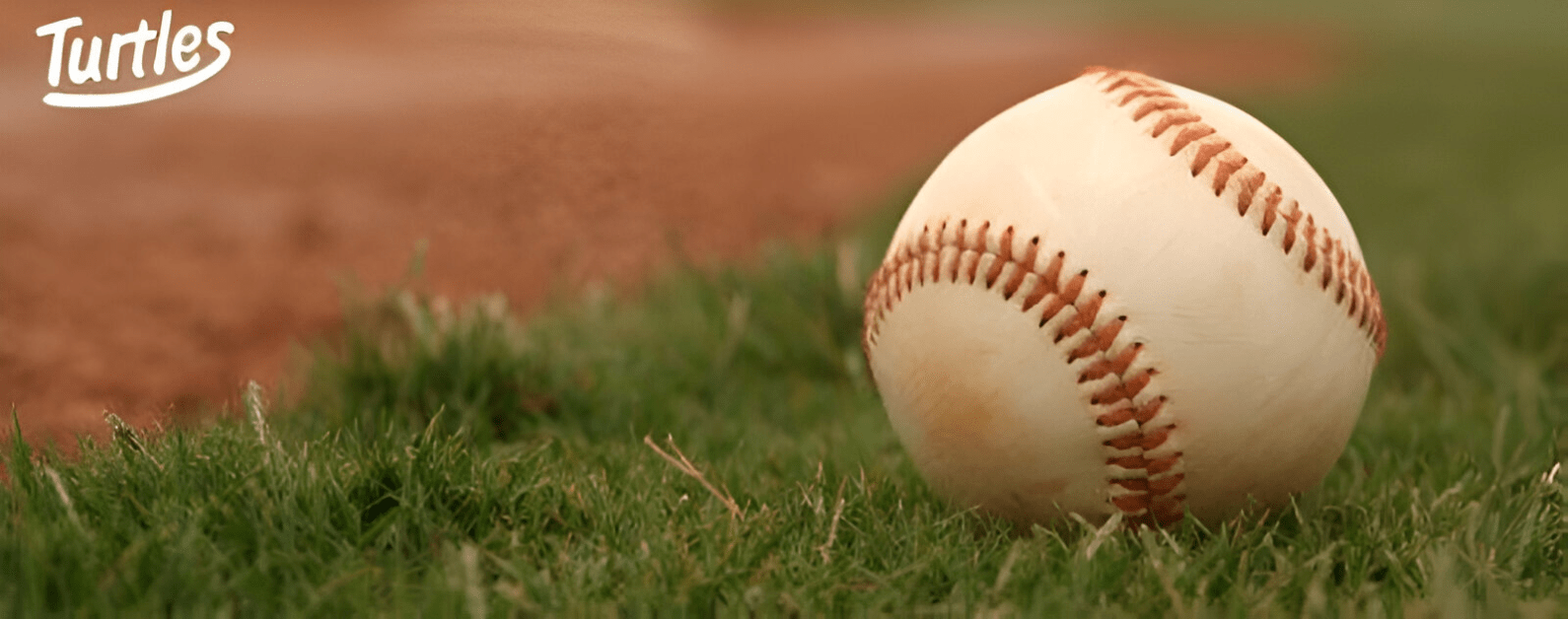 Kapellen Turtles  Baseball & Softball